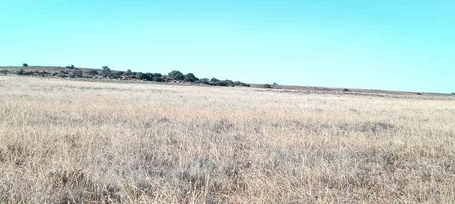 5 Bedroom Property for Sale in Edenburg Free State
